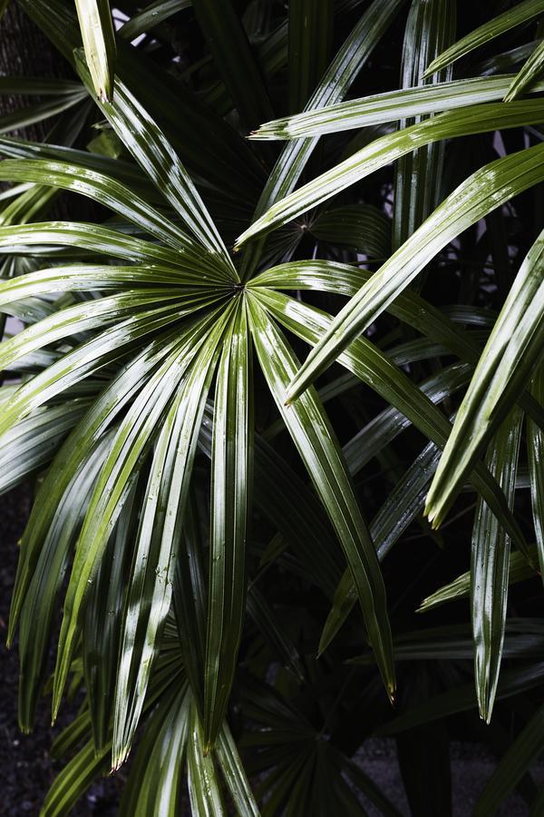 The Villas Of Byron Byron Bay Exterior foto